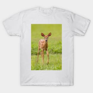 Fawn Memories - White-tailed deer T-Shirt